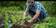 © G.Go - An organic farmer applying mulch to conserve moisture in a vegetable patch.