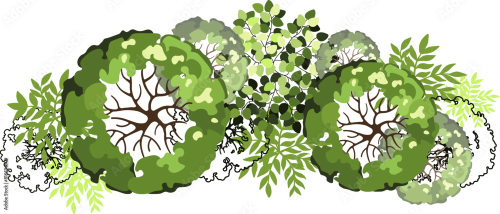 Group of trees for architectural floor plans. Entourage design. Various ...
