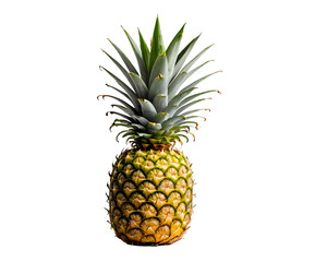 Canvas Print - Pineapple isolated on transparent background