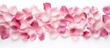 © vxnaghiyev - A top down view of pink rose petals placed on a white surface with enough empty space for adding text or images. with copy space image. Place for adding text or design