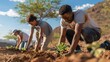 © 海翰 章 - Greening the Horizon: Diverse Team Plants for a Sustainable Future (Combating Desertification)