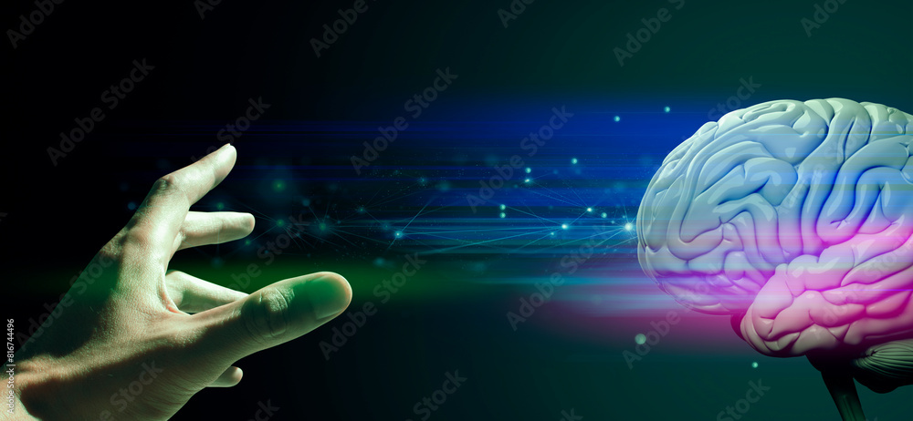 doctor hand holding a holographic of human brain in healthcare medical ...
