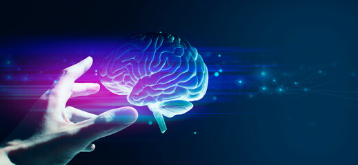 doctor hand holding a holographic of human brain in healthcare medical theme; a technology for scien