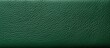 © StockKing - Close up of a green textured leather surface filling the entire frame and leaving room for text. Copyspace image