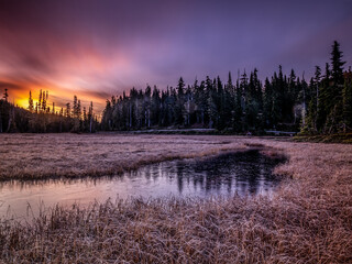 Wall Mural - Early Morning Sunrise at Paradise Meadows