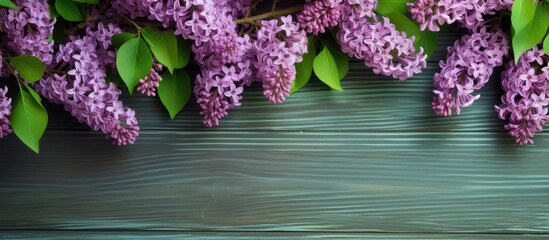 Poster - Branches of blossoming lilac on green wooden background diagonal arrangement copy space