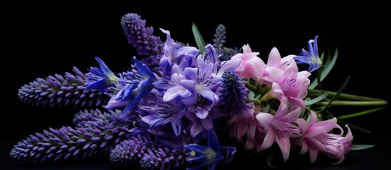 Poster - A lavender bouquet with a black background. copy space available