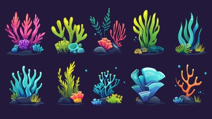 Wall Mural - Seaweed and coral cartoon set. Modern illustration collection of different underwater ocean plants and reefs. Tropical bright creatures in an aquarium or marine environment. Exotic undersea flora