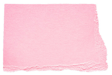 Wall Mural - isolated cut out torn piece of blank pink paper note cardboard with texture and copy space for text 