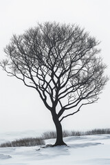 Canvas Print - A tree with no leaves is standing in the snow