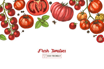 Wall Mural - Tomatoes of different sorts vector