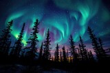 beautiful aurora light up the sky professional photography