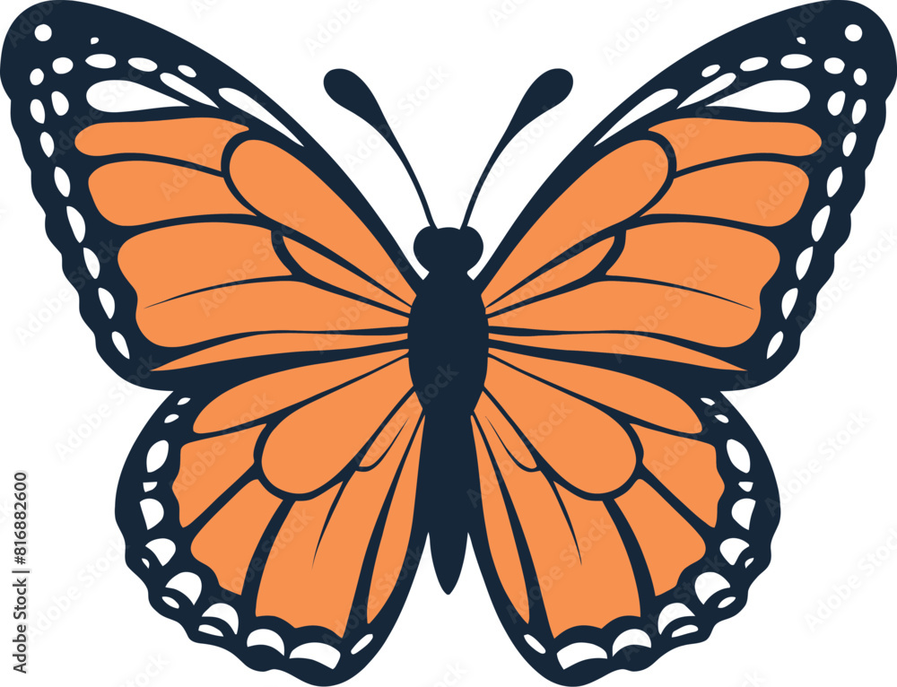 Monarch butterfly vector illustration isolated on a white background ...