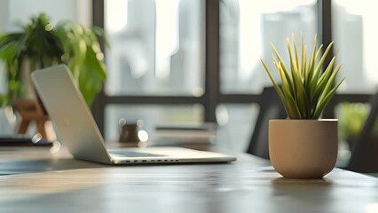 Poster - A green potted plant is placed on a desk in front of an open laptop computer.