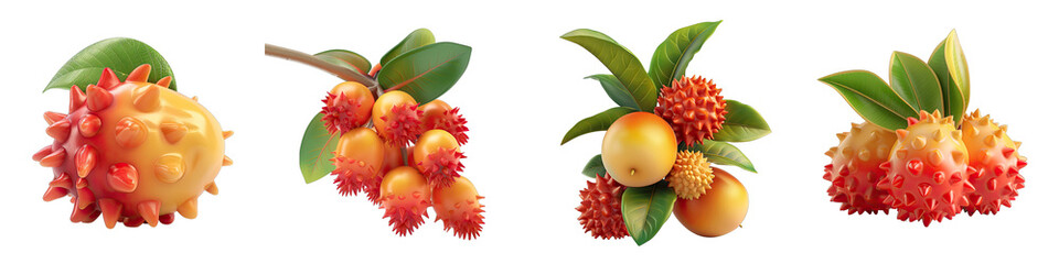 Wall Mural - Soft Smooth Rambutan Hyperrealistic Highly Detailed Isolated On Transparent Background Png File