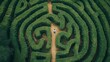 © AlfaSmart - Intricate hedge maze with a person standing at the entrance