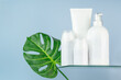 © ADDICTIVE STOCK - Assorted blank cosmetics bottles with a green leaf for mockup
