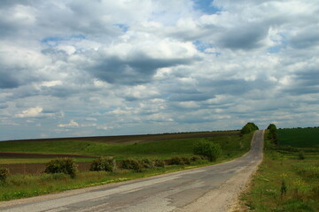 Wall Mural - A road with grass and bushes on the side