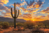 Fototapeta Desenie - Saguaro cactus National Park at sunset, Sonoran desert, iconic Arizona and the American Southwest landscape