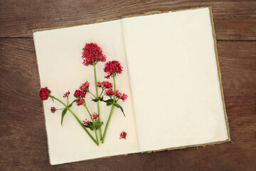 Wall Mural - Red valerian herb flowers with old hemp notebook 0n rustic wood background. Used in old fashioned perfume making. Valeriana.