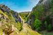 © Zedspider - Curvy road between rocks of Maninska tiesnava gorge in Strazov mountains mountains, Slovakia