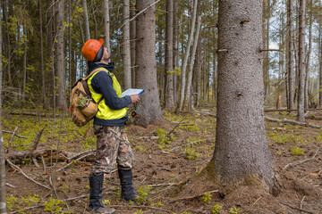 Wall Mural - Male ecologist works in the forest. A forest engineer inspects forest plantations.