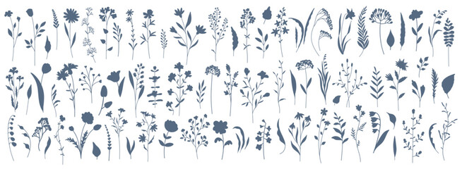 Wall Mural -  Set of elegant silhouettes of flowers, branches, leaves, wildflowers and herbs. Thin hand drawn vector botanical elements