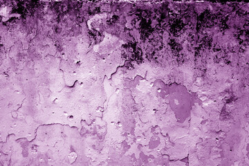 Wall Mural - Grungy dirty plaster wall with peeling paint. Violet color style.