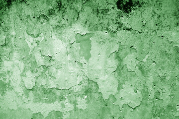 Wall Mural - Peeling paint on grungy plaster wall. Green style.