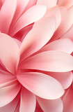Fototapeta Tulipany - Abstract pink rose petals background.
