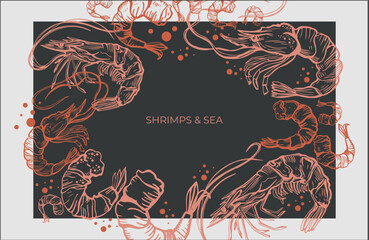 Wall Mural - Hand drawn isolated vector set of shrimps and prawns. Shrimps and langoustines on a dark background.. Seafood, food vintage illustration.
