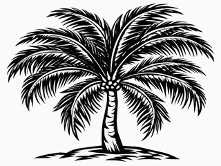 palm tree silhouette