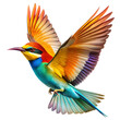 © DesignVectX - A colorful bird with a long tail is flying in the air