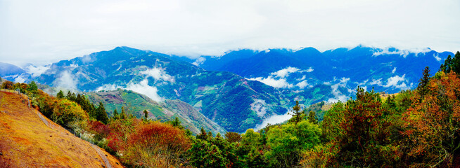 ali shan mountain and qingjing farm landscape in Taiwan 