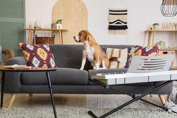 Wall Mural - Cute beagle dog with modern synthesizer sitting on sofa at home