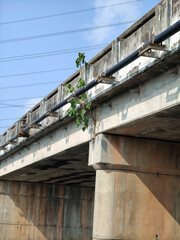 Poster - the bridge in the city