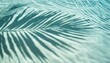 © Won Studio - Beautiful water surface with tropical leaf shadow. Pure water background for cosmetic, spa product. Summer vacation. Ocean.