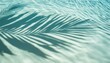 © Won Studio - Beautiful water surface with tropical leaf shadow. Pure water background for cosmetic, spa product. Summer vacation. Ocean.