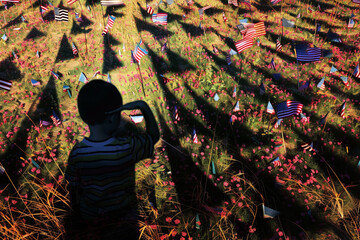 Wall Mural - abstract shadows of a child saluting on a field of small american flags.