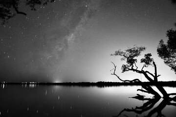 Black and White Milky Way