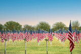 Fototapeta Panele - Field of American flags displayed on the honor of Veterans Day celebration  