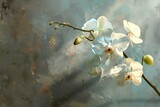 Fototapeta Kwiaty - cherry blossom in spring time
