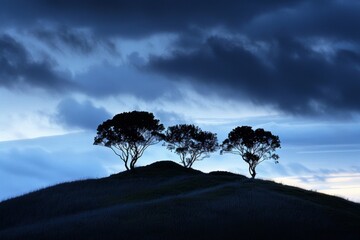 Wall Mural - Silhouetted Trees Against Colorful Sky