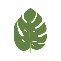 Sticker - Monstera Leaf Element