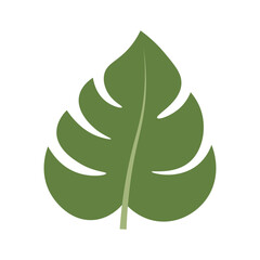 Sticker - Monstera Leaf Element