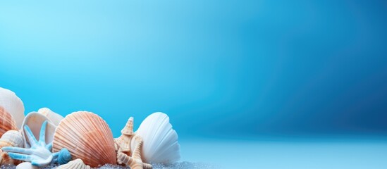 Poster - Blue background with seashells providing copy space image