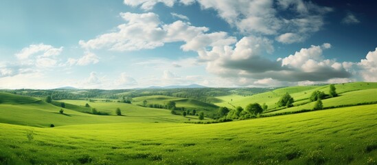 Wall Mural - Scenic image of lush green landscape Accommodates text. Creative banner. Copyspace image