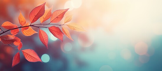 Aufkleber - Autumn leaves create a vibrant and picturesque background offering a colorful and scenic copy space image