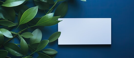 Poster - A top down view of a blank card on a blue backdrop highlighted by the shadow of leaves This copy space image includes a clipping path