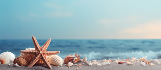 Poster - A sea themed copy space image featuring starfish and cockleshells on a vibrant background